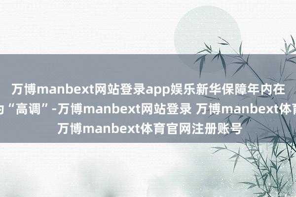 万博manbext网站登录app娱乐新华保障年内在成本市集上颇为“高调”-万博manbext网站登录 万博manbext体育官网注册账号